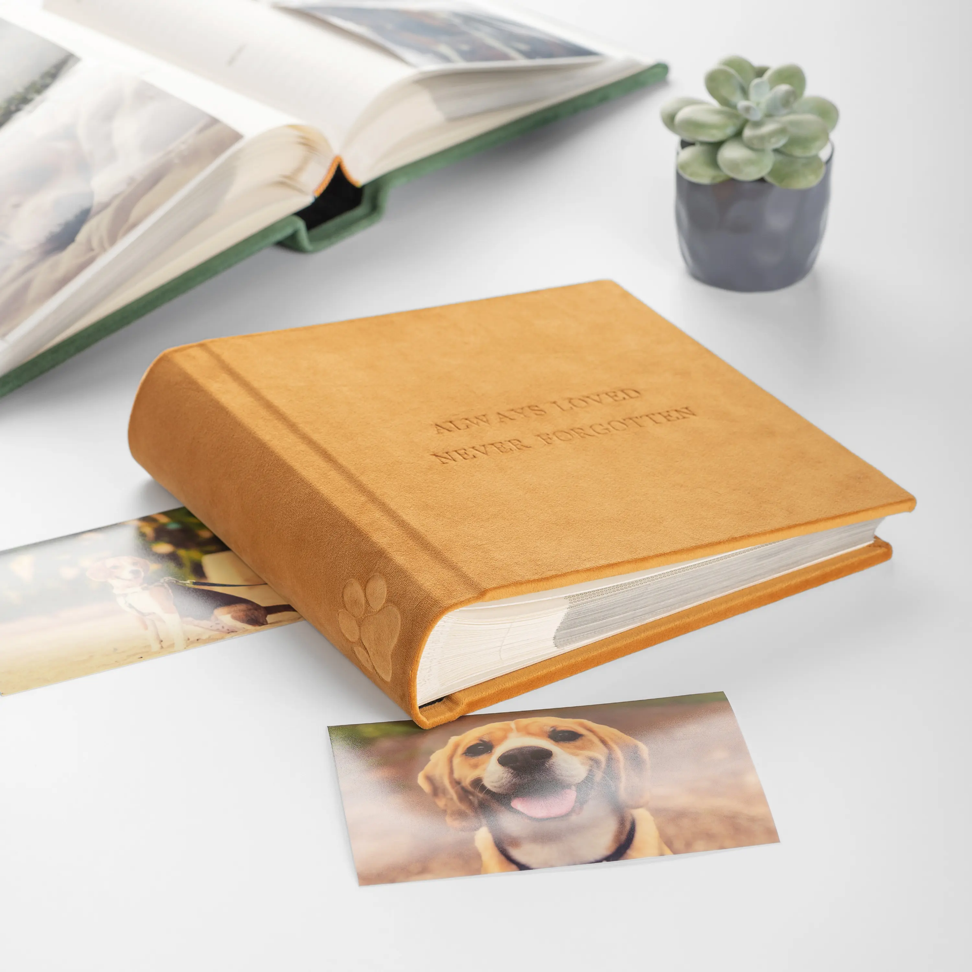 Velvet Slip In Photo Album for 200 4x6 or 5x7 Photos Embossed Dog Paw