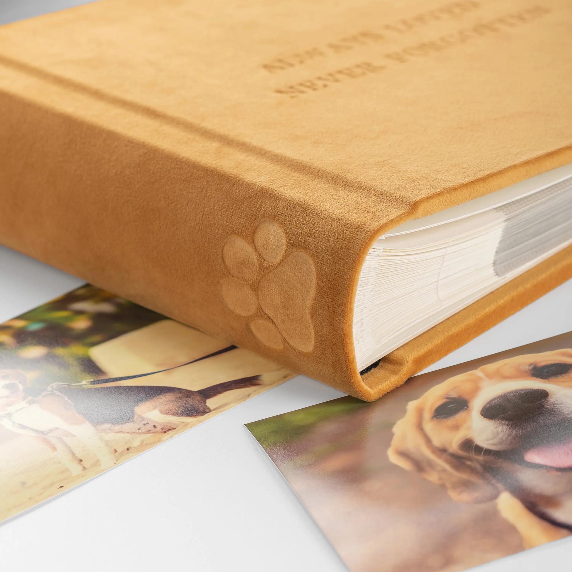 Velvet Slip In Photo Album for 200 4x6 or 5x7 Photos Embossed Dog Paw - Image 5