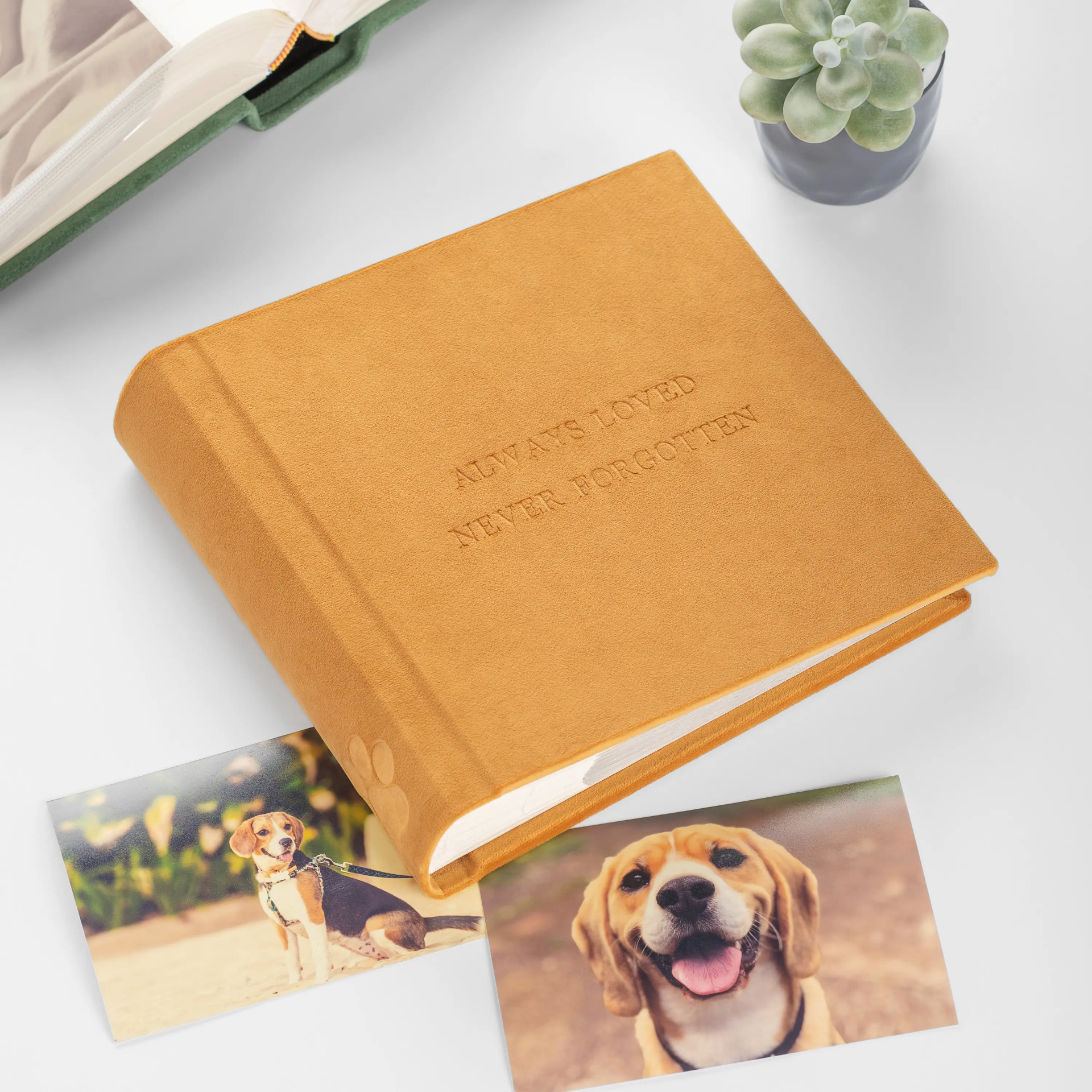 Velvet Slip In Photo Album for 200 4x6 or 5x7 Photos Embossed Dog Paw - Image 2