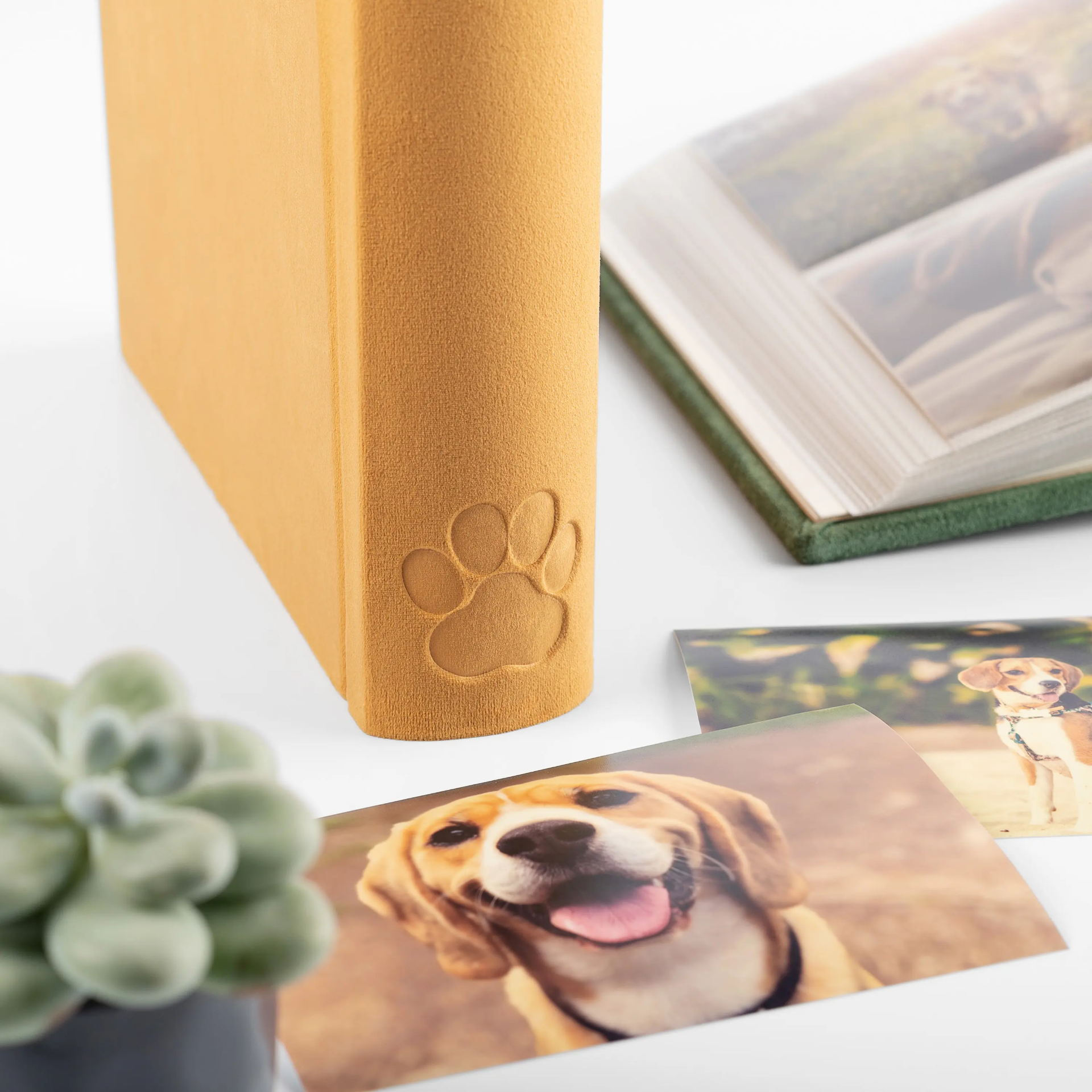 Velvet Slip In Photo Album for 200 4x6 or 5x7 Photos Embossed Dog Paw - Image 6