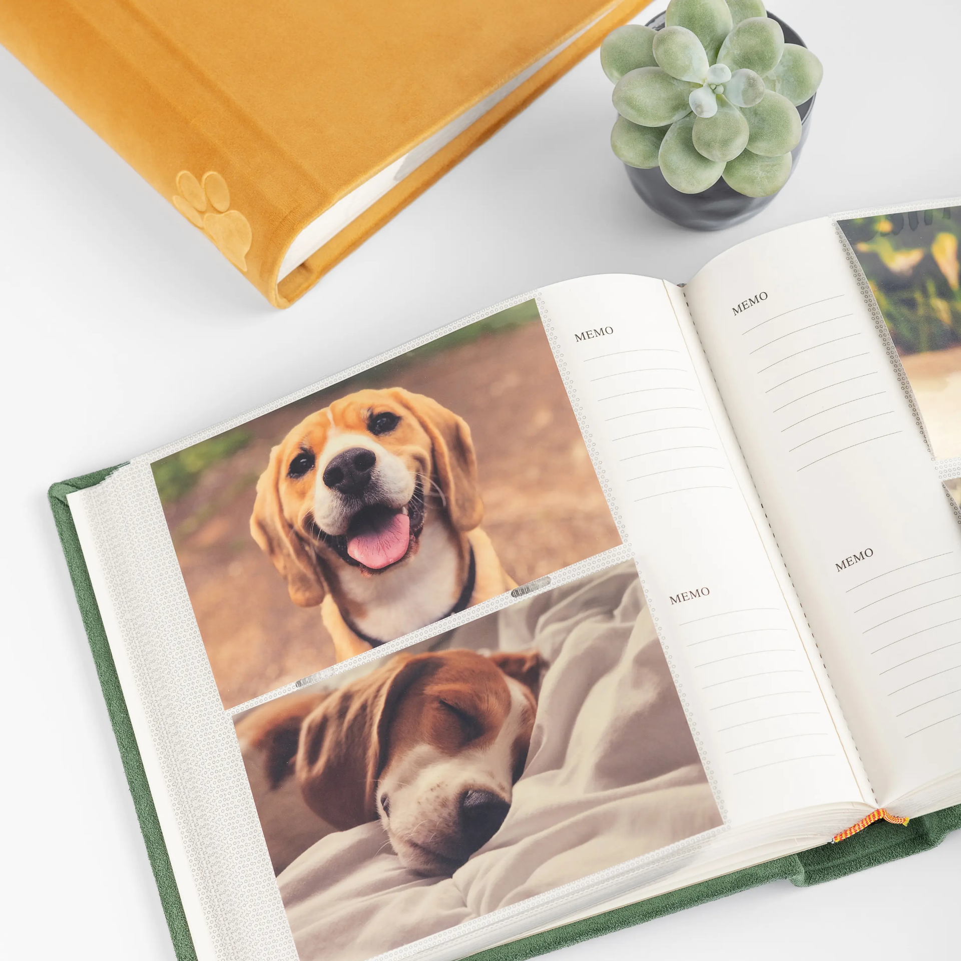 Velvet Slip In Photo Album for 200 4x6 or 5x7 Photos Embossed Dog Paw - Image 3