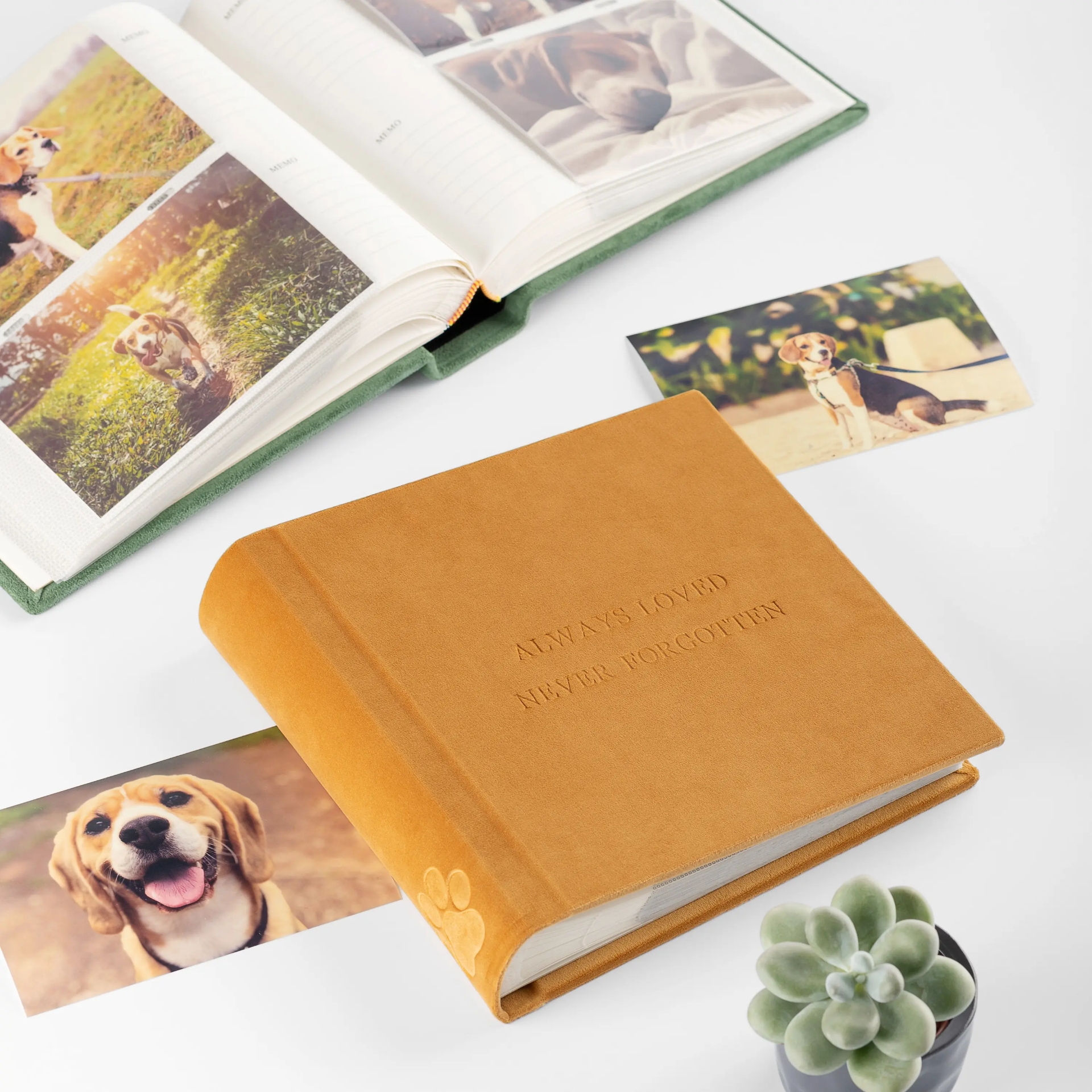 Velvet Slip In Photo Album for 200 4x6 or 5x7 Photos Embossed Dog Paw - Image 4