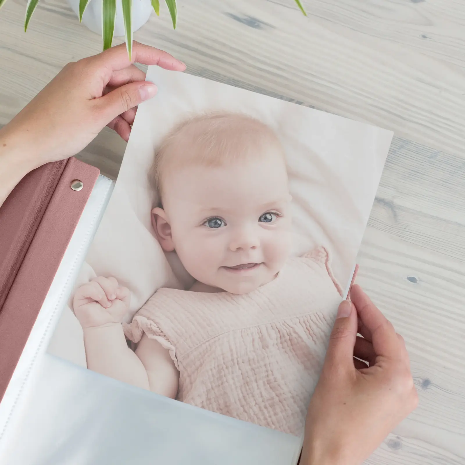 Velvet Baby Slip In Photo Album for 8x10 Photos - Image 3