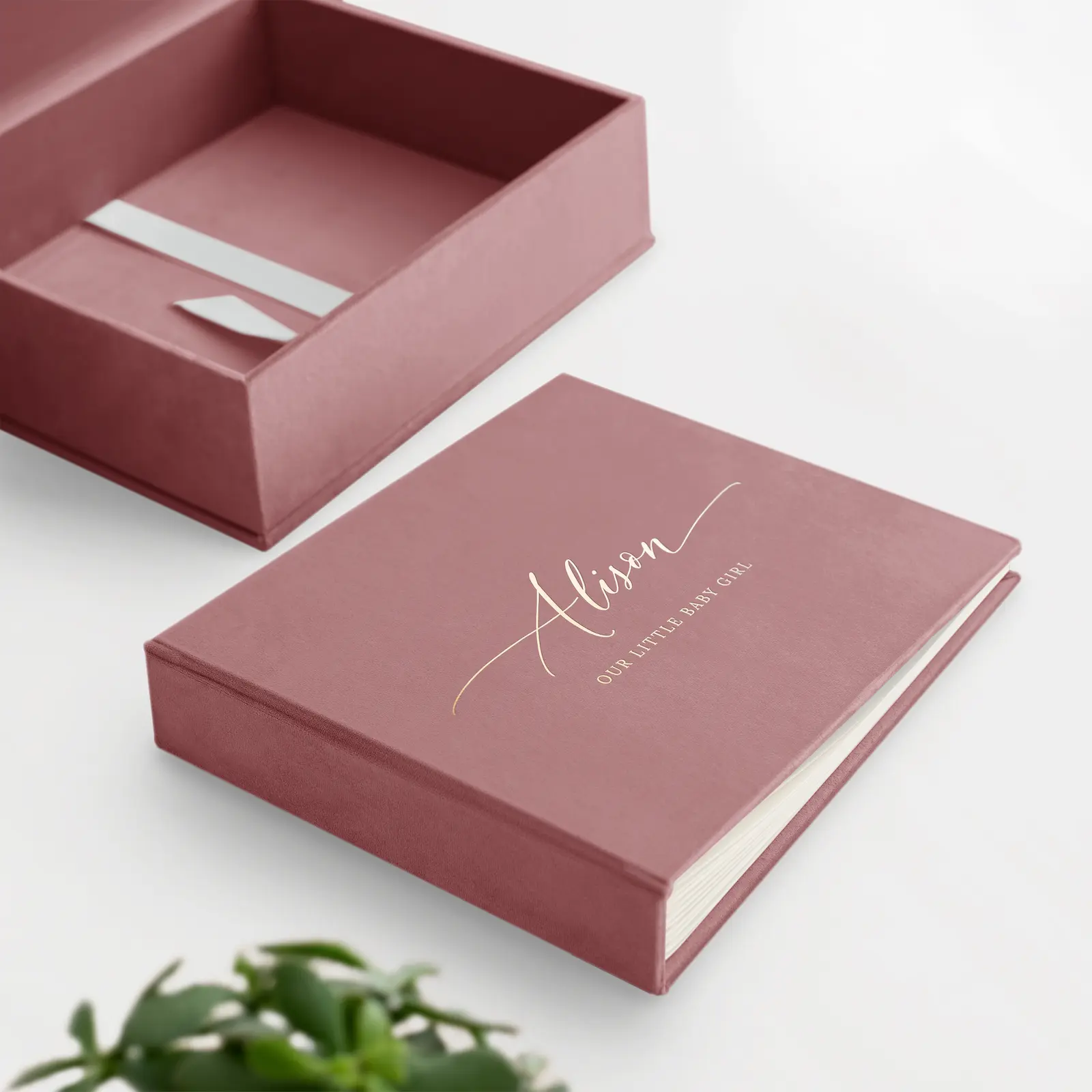 Velvet Baby Photo Book - Image 4