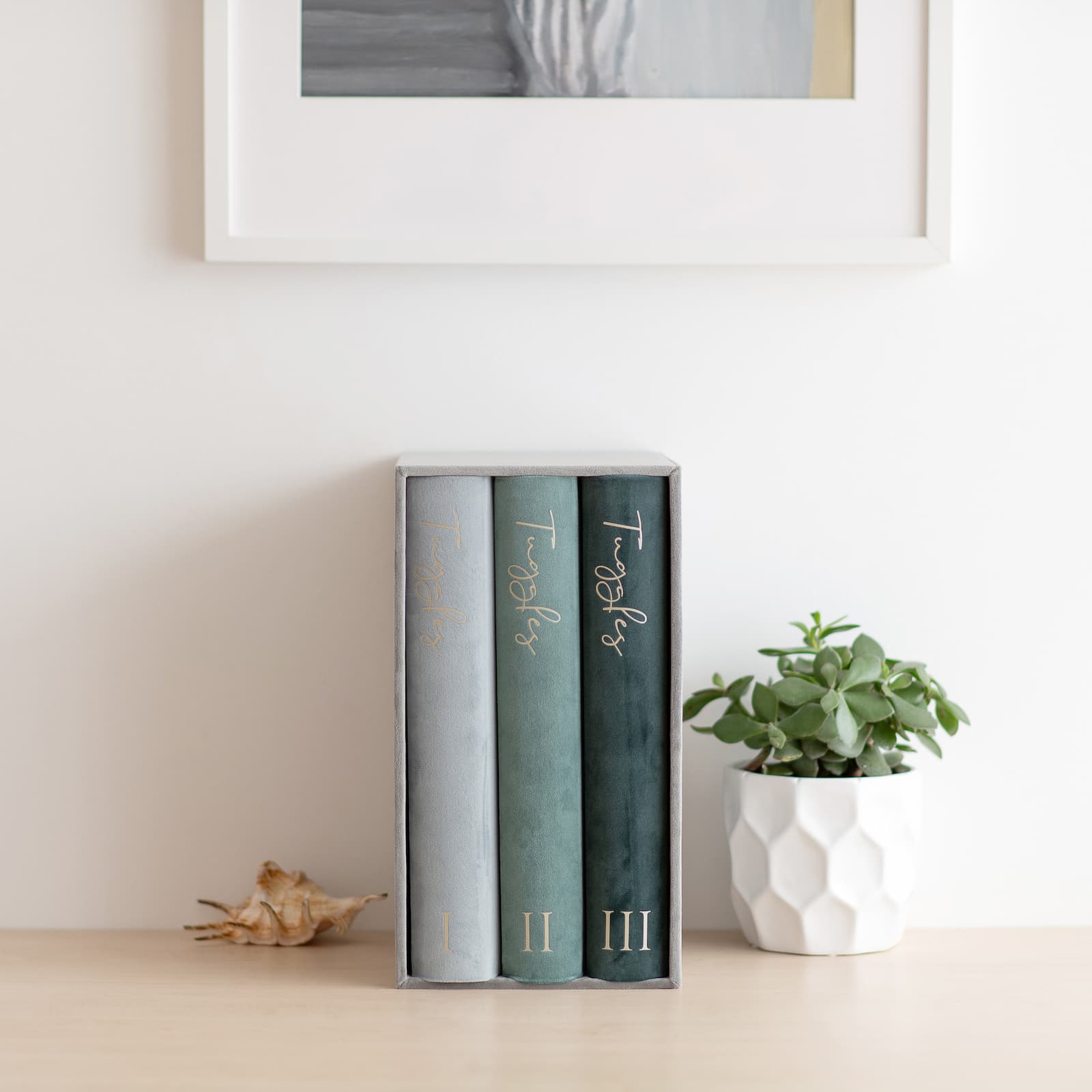 Velvet Slip In Photo Album for 300 4x6 Photos