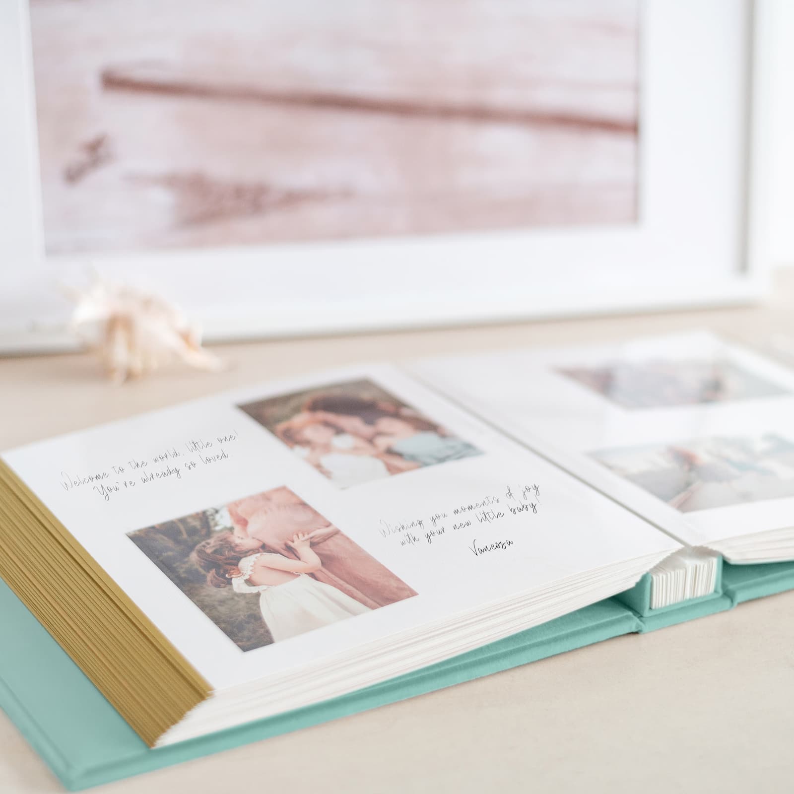 Velvet Baby Self Adhesive Photo Album - Image 2