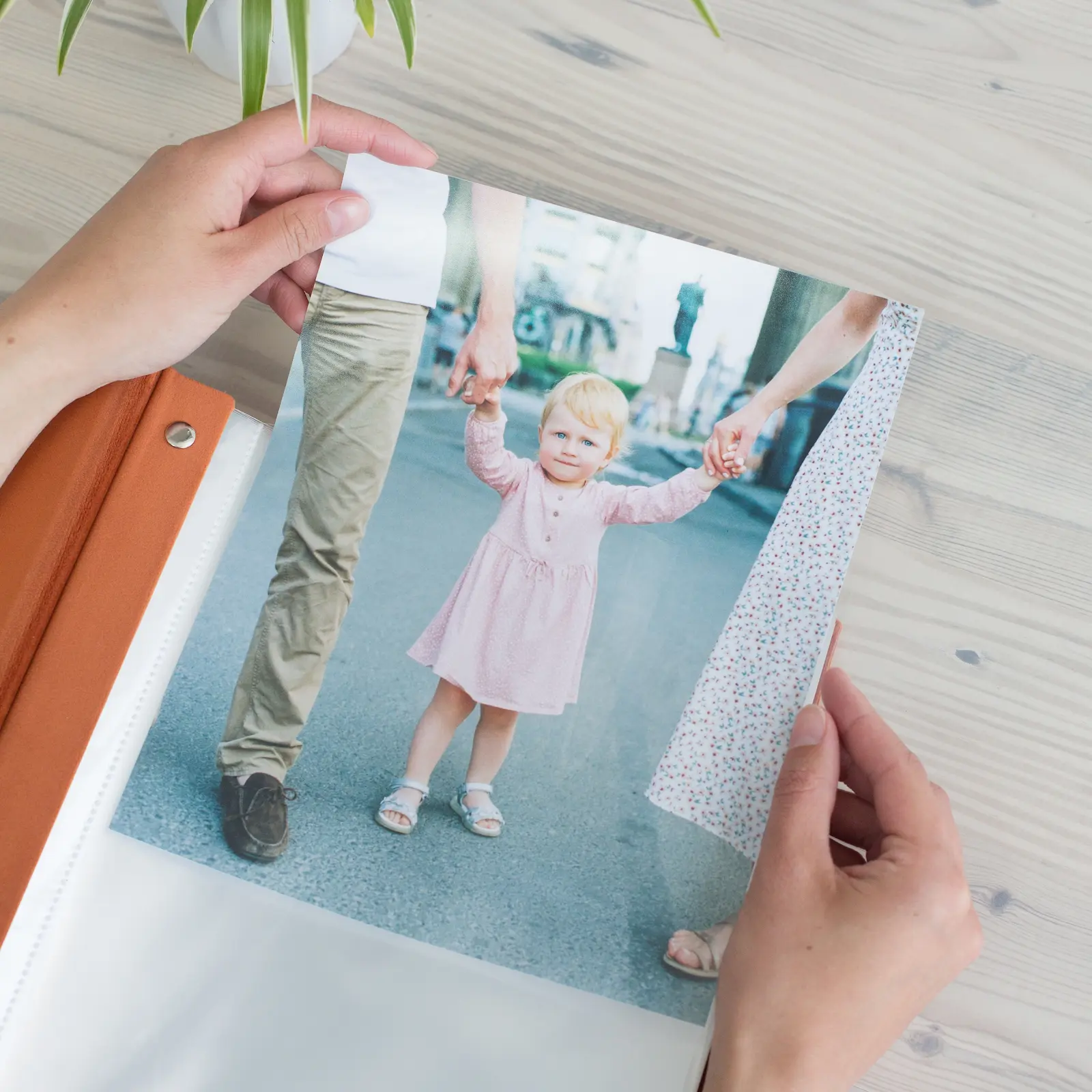 Velvet Slip In Photo Album for 8x10 Photos - Image 5
