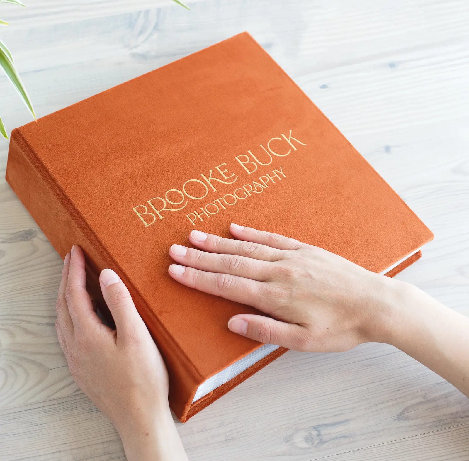 Velvet Slip In Photo Album for 8x10 Photos - Image 3