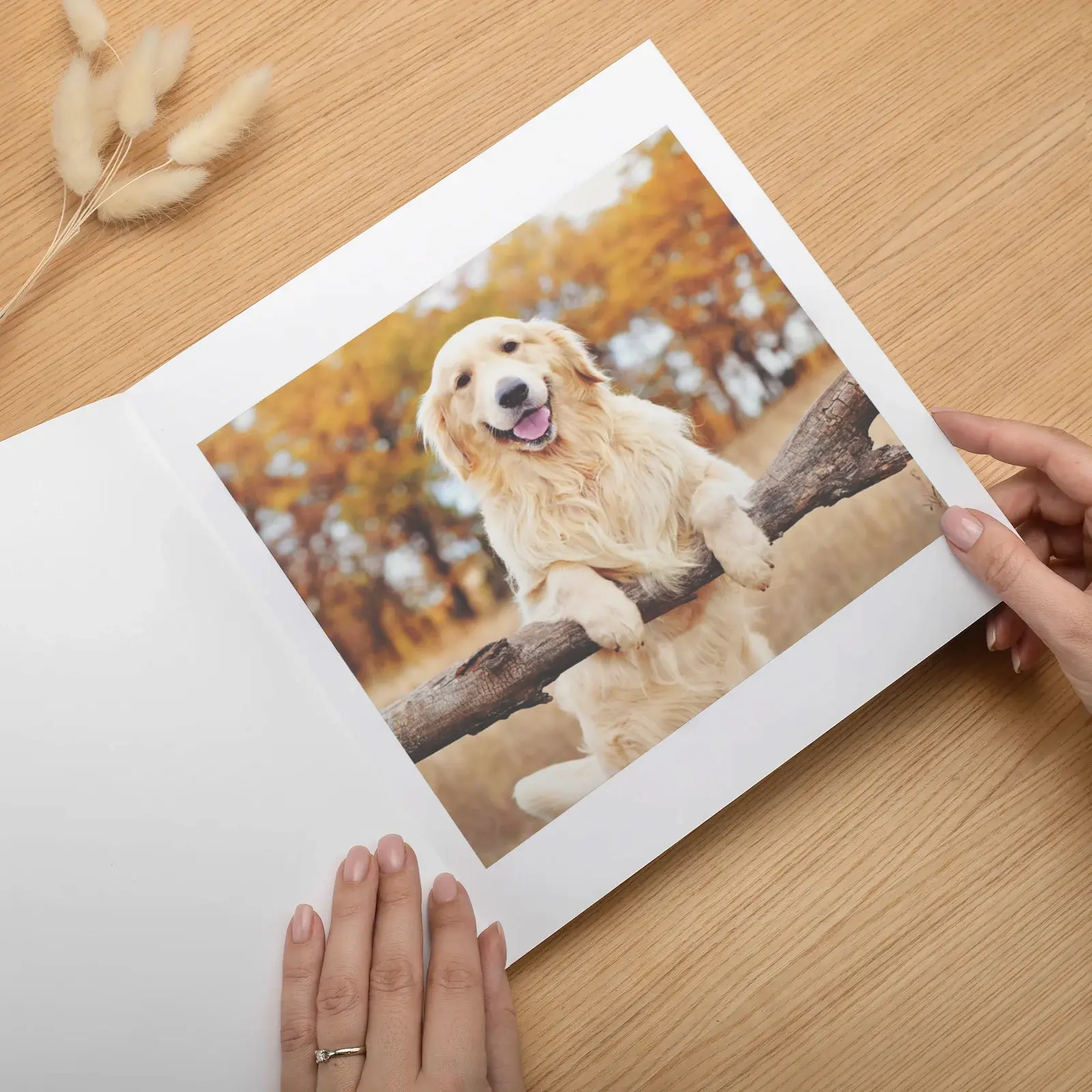 Soft Cover Pet Photo Book - Image 2