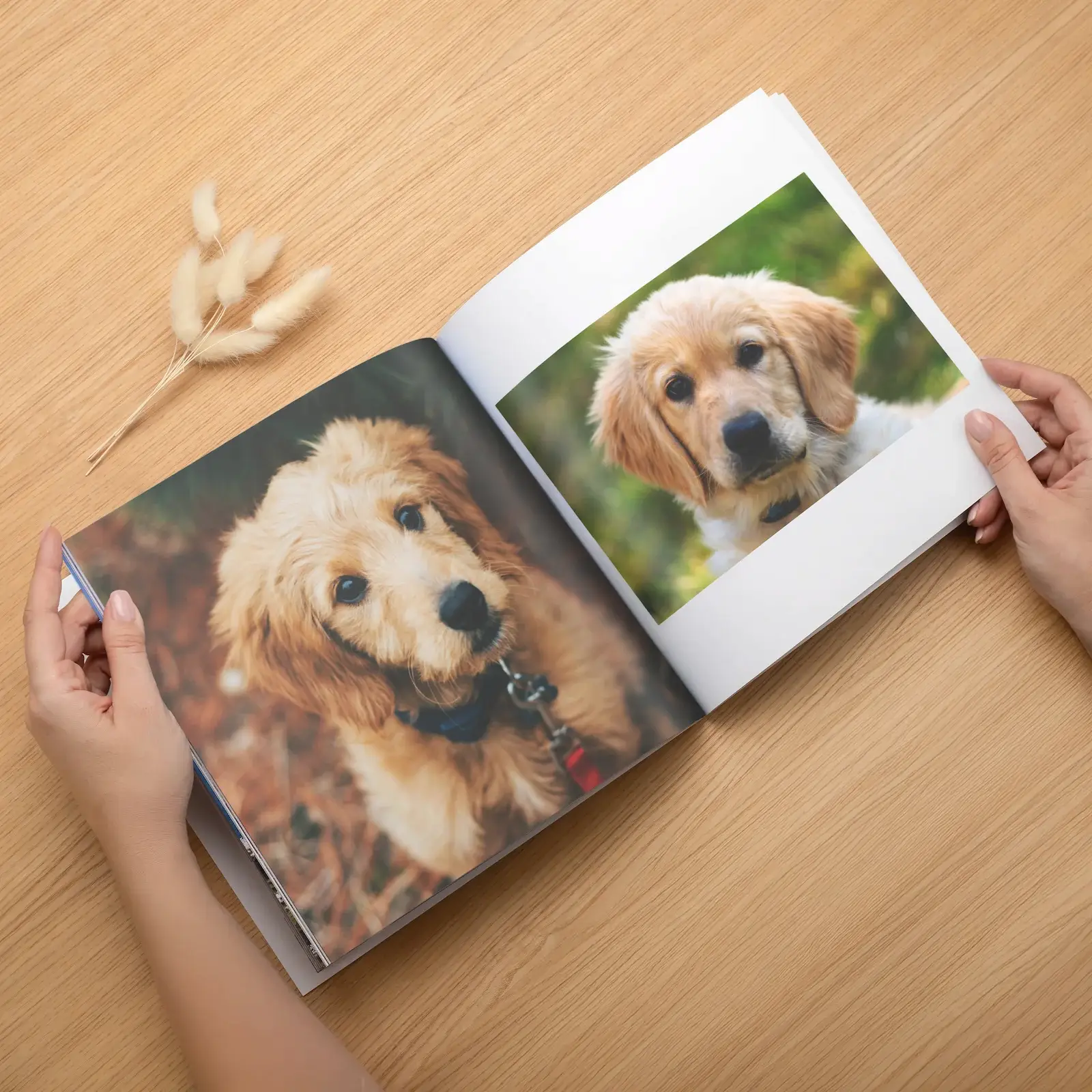 Soft Cover Pet Photo Book - Image 3