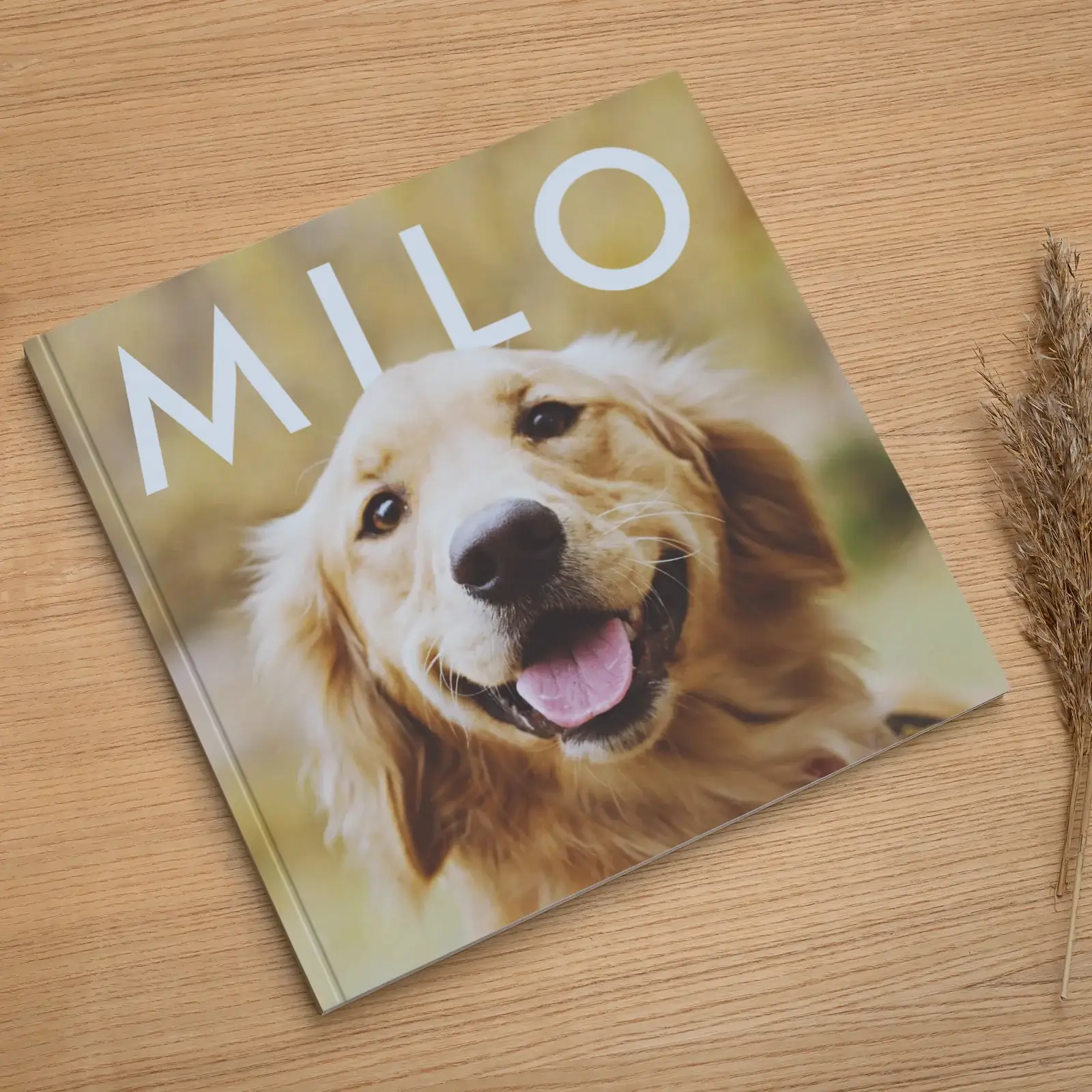Soft Cover Pet Photo Book - Image 5