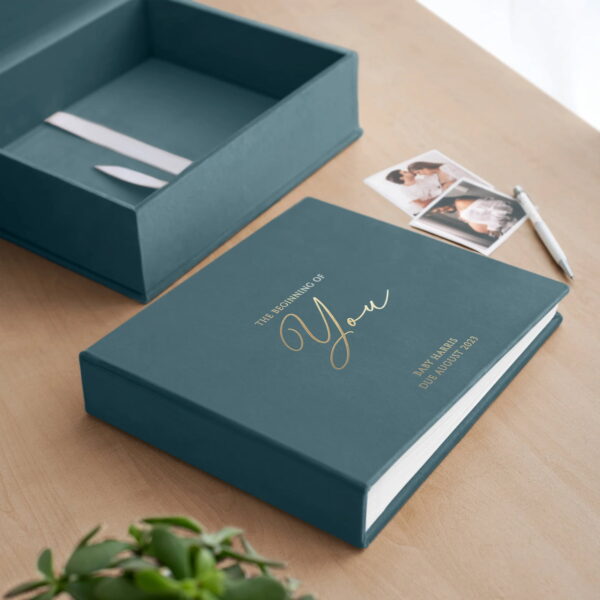 Velvet Pregnancy Book
