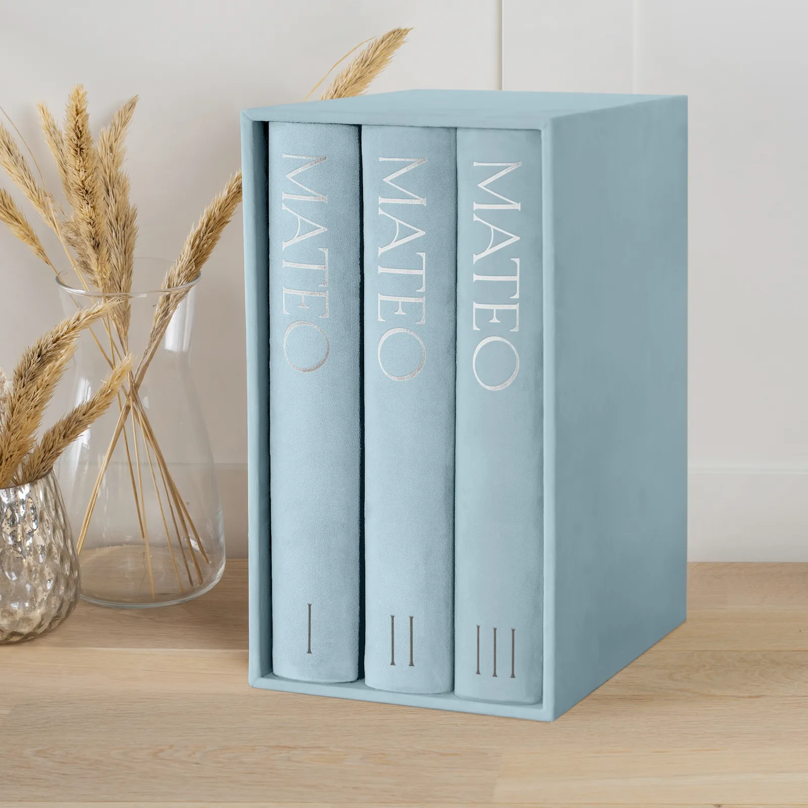 Velvet Baby Slip In Photo Album for 300 4x6 Photos, Design B117