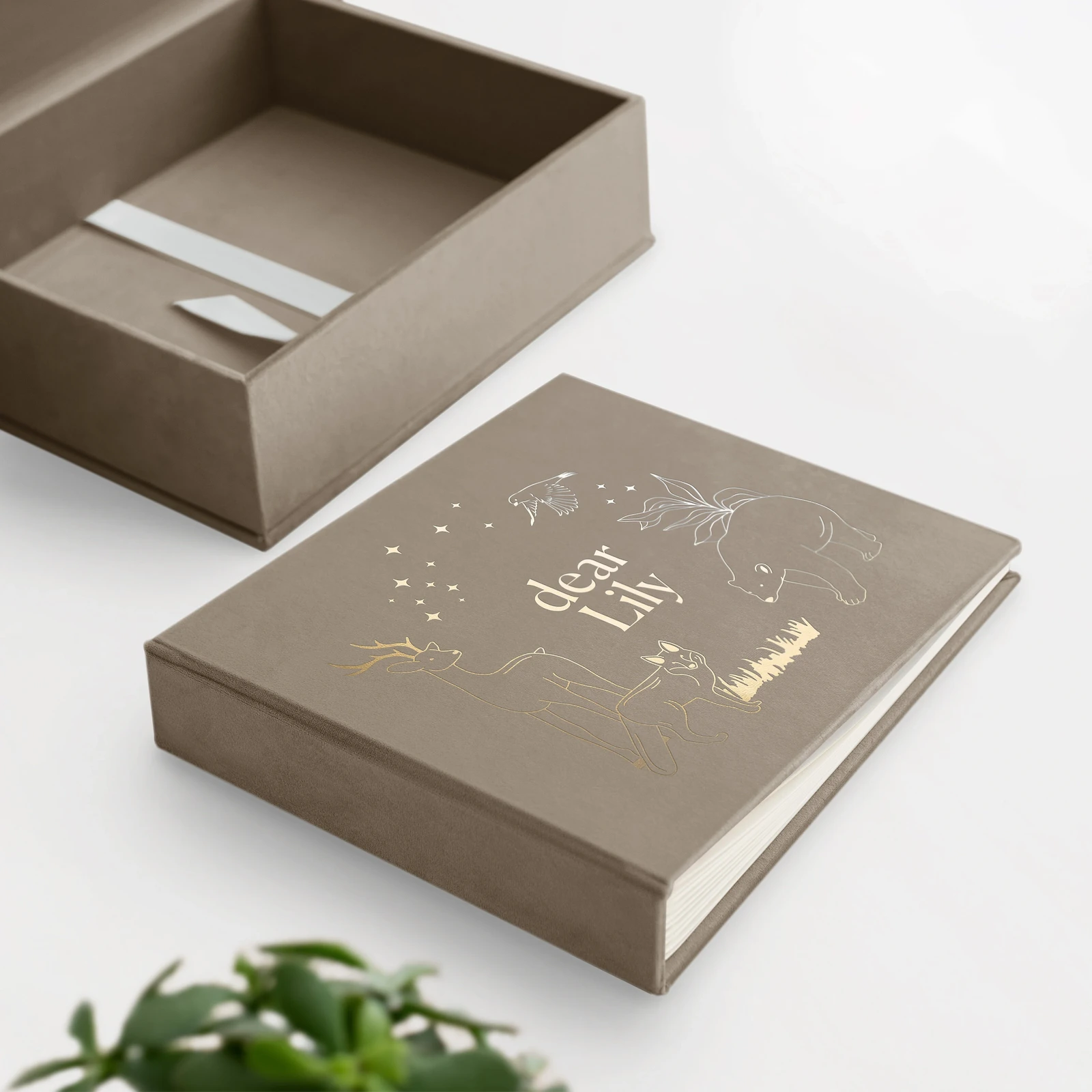 Velvet Baby Photo Book #B44 - Image 5