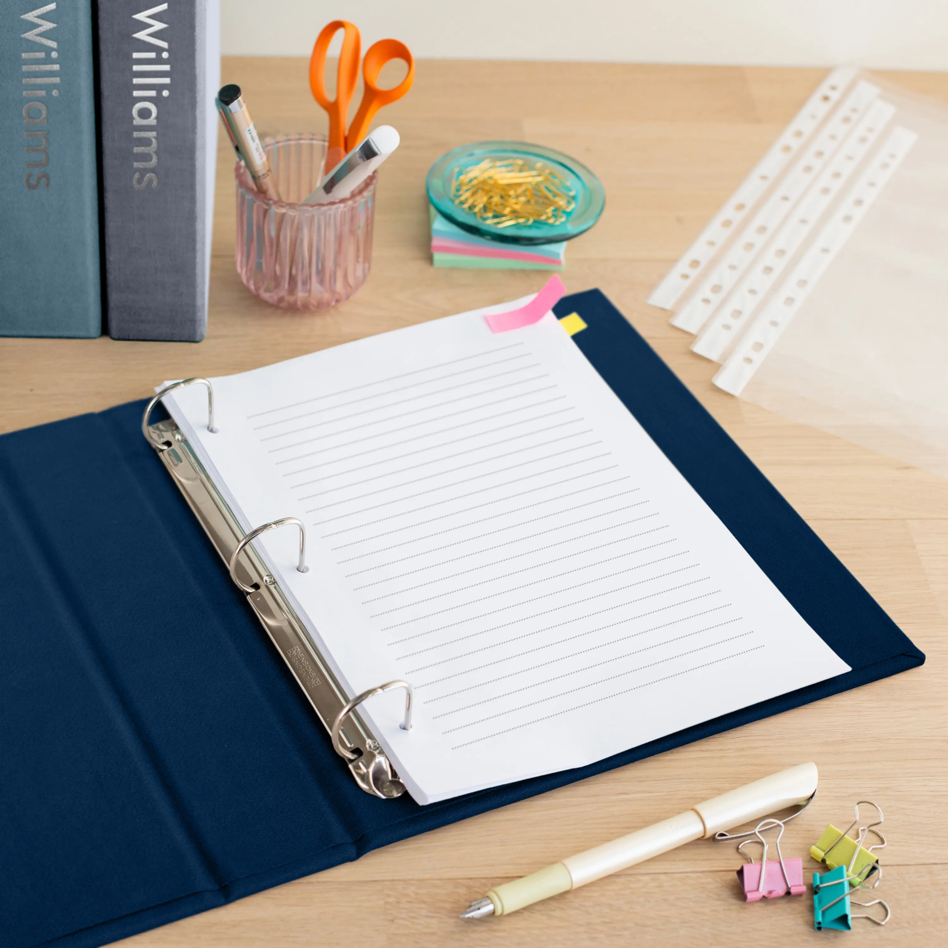 Three Velvet Ring Binders with Slipcase - Image 2