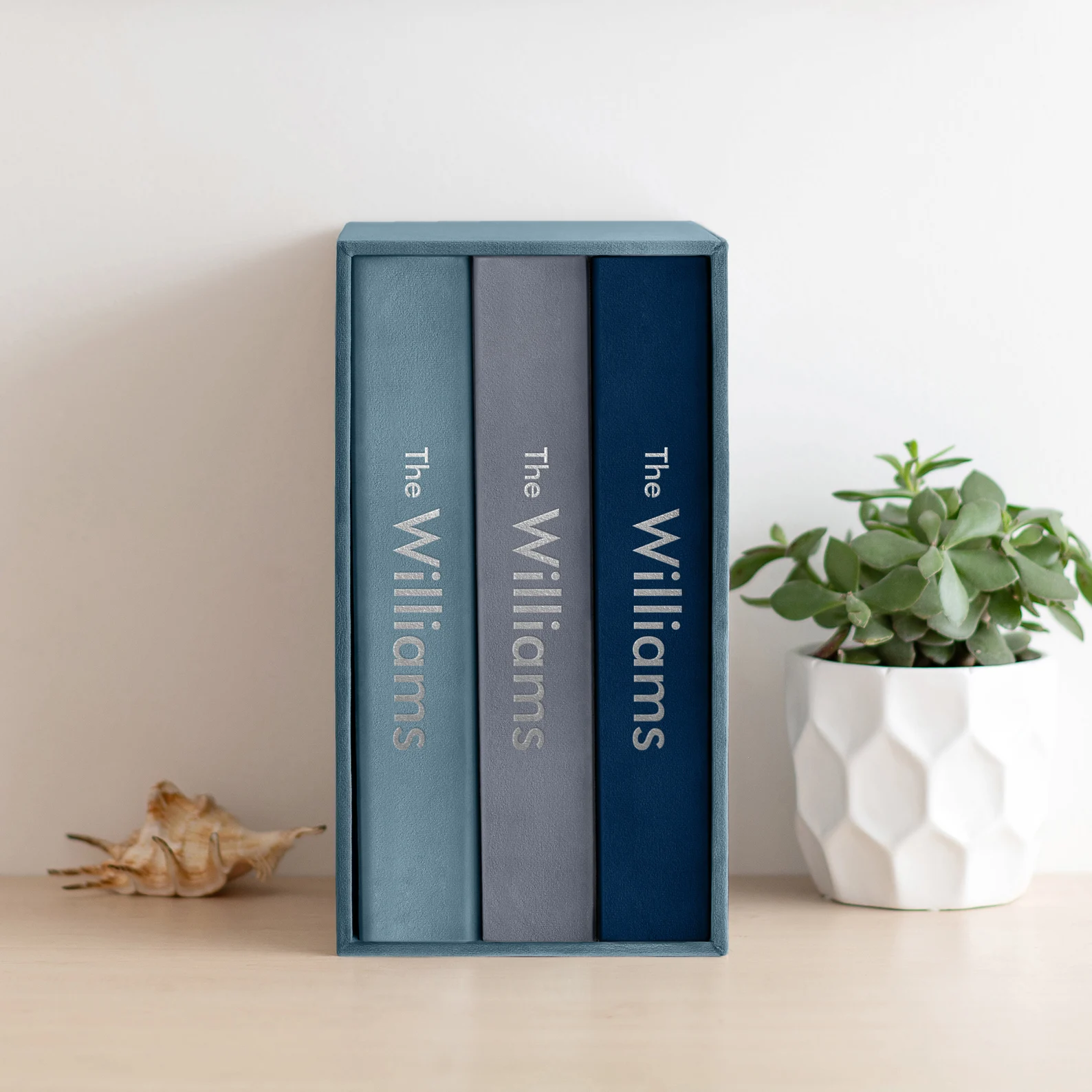 Three Velvet Ring Binders with Slipcase